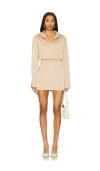 ALL THE WAYS ROSIE MINI DRESS