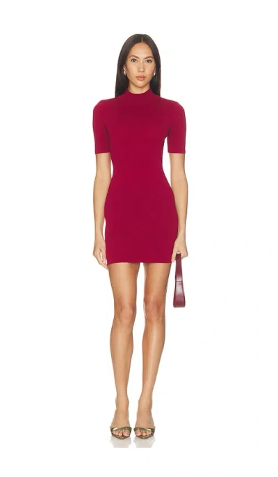 All The Ways Tawny Mini Dress In Burgundy