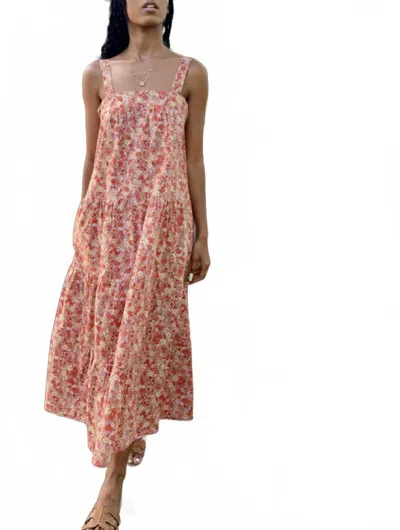 All The Wild Roses Arabella Sundress In Sunset Rose In Multi