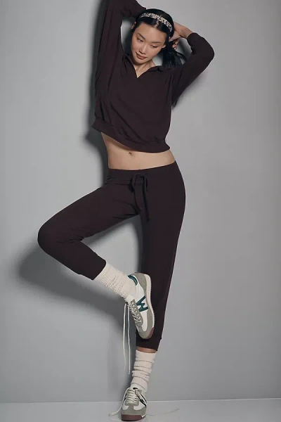All Time Favorite Cozy Joggers Pants In Brown