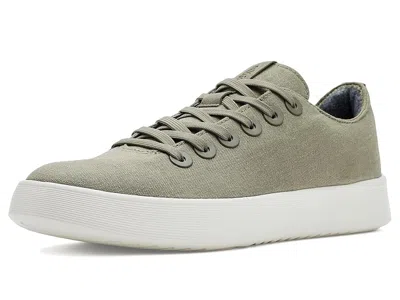 Allbirds Cruiser Canvas In Brown