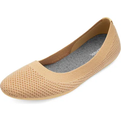Allbirds Tree Breezer Ballet Flat In Stony Beige