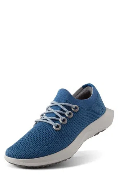 Allbirds Tree Dasher 2 Sneaker In Multi