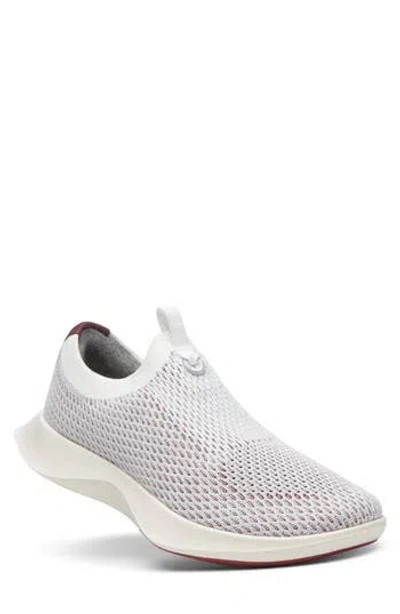 Allbirds Tree Dasher Relay Sneaker In Red