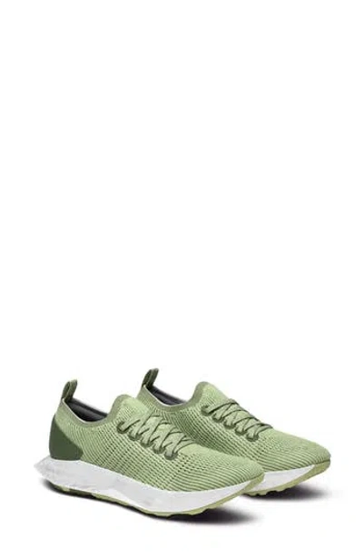 Allbirds Tree Flyer Running Shoe In Forage Green/blizzard