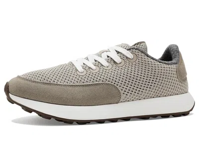 Allbirds Varsity Airy In Brown