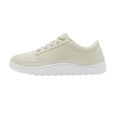 Allbirds Women's  Canvas Pacers Natural White 5929273 In Multi