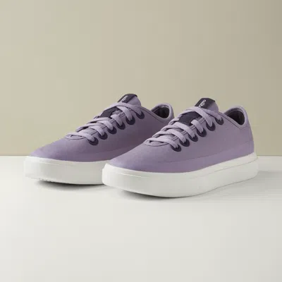 Allbirds Women's Canvas Pipers In Rugged Purple
