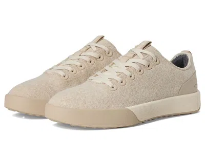 Allbirds Wool Cruiser Waterproof