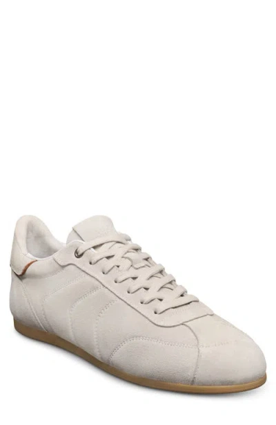 Allen Edmonds Aidan Sneaker In Neutral