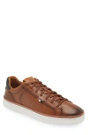 Allen Edmonds Alpha Sneaker In Luggage