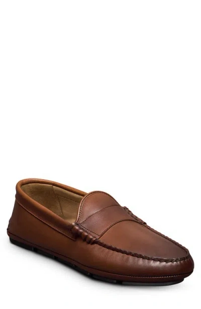 Allen Edmonds Apex Driving Loafer In Brown