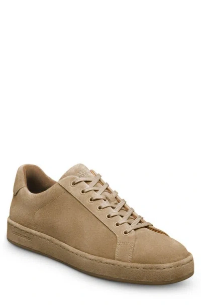 Allen Edmonds Barnes Low Top Sneaker In Brown