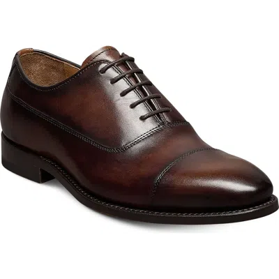 Allen Edmonds Baylor Leather Cap Toe Oxford In Burgundy