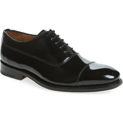 Allen Edmonds Baylor Oxford In Animal Print