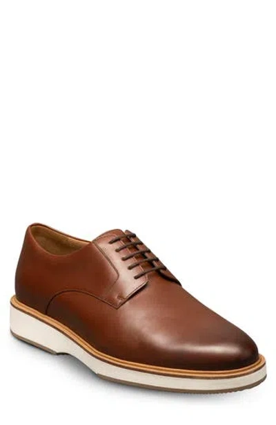 Allen Edmonds Benson Derby Sneaker In Brown Chili