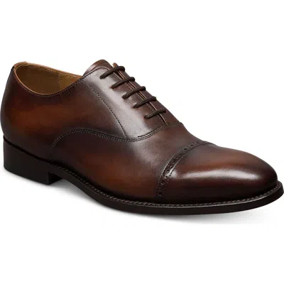 Allen Edmonds Brady Cap Toe Oxford In Brown