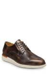 Allen Edmonds Carson Derby In Brown