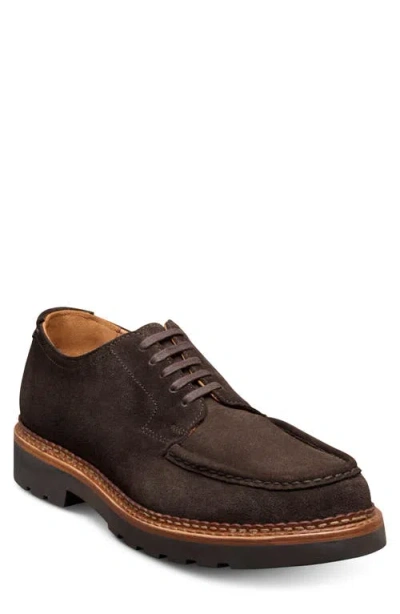 Allen Edmonds Cillian Apron Toe Derby In Brown