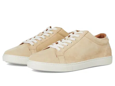 Allen Edmonds Courtside Lace-up Shoes In Neutral