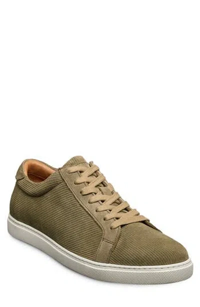 Allen Edmonds Courtside Low Top Sneaker In Multi