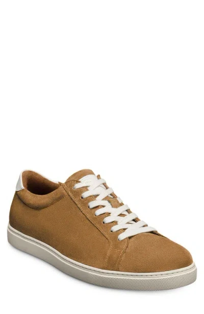 Allen Edmonds Courtside Sneaker In Brown