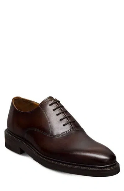 Allen Edmonds Douglas Plain Toe Oxford In Brown