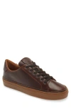 Allen Edmonds Flynn Leather Sneaker In Brown/white
