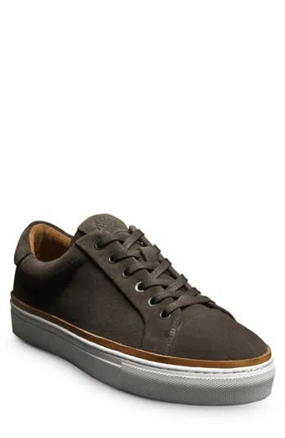 Allen Edmonds Flynn Leather Sneaker In Grey