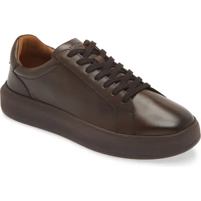 Allen Edmonds Foster Low Top Sneaker In Mahogany
