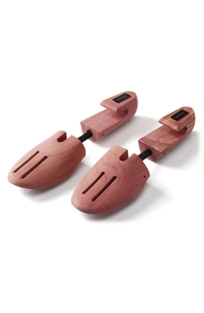 Allen Edmonds Full Shoe Tree In Brown