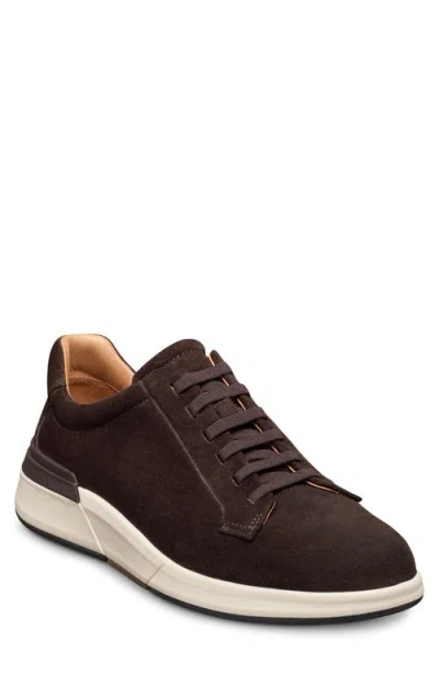 Allen Edmonds Glenn Slip-on Sneaker In Brown
