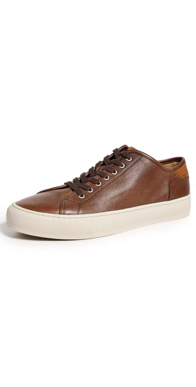 Allen Edmonds Jones Leather Sneakers Chocolate In Brown