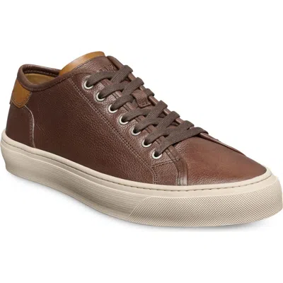 Allen Edmonds Jones Low Top Sneaker In Multi