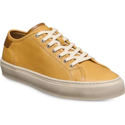 Allen Edmonds Jones Low Top Sneaker In Yellow