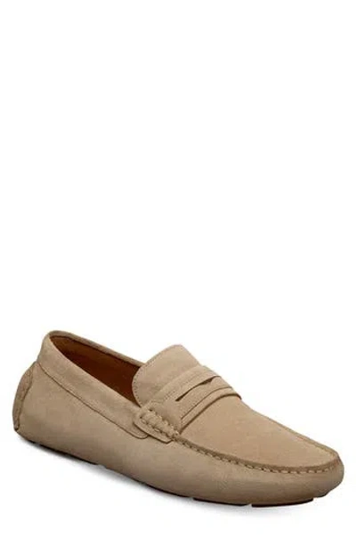 Allen Edmonds Lewis Penny Loafer In Brown