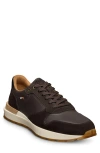 Allen Edmonds Lionel Low Top Sneaker In Brown