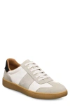 Allen Edmonds Ludlow Slip-on Sneaker In Dove