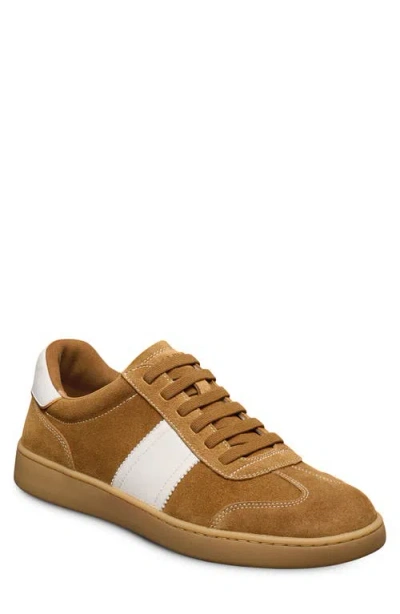 Allen Edmonds Ludlow Slip-on Sneaker In Brown