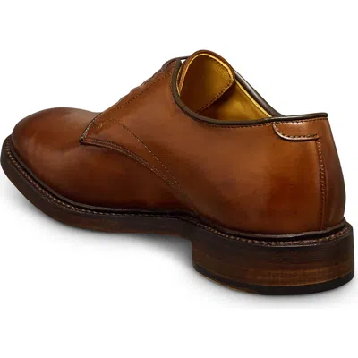 Allen Edmonds Maxwell Reserve Plain Toe Derby Dress Shoe In Brown
