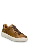 Allen Edmonds Oliver Brogue Sneaker In Walnut