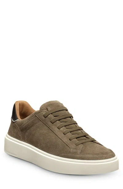 Allen Edmonds Oliver Sneaker In Brown