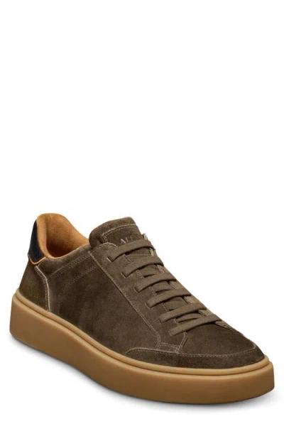 Allen Edmonds Oliver Sneaker In Brown