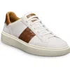 Allen Edmonds Oliver Woven Panel Sneaker In Brown
