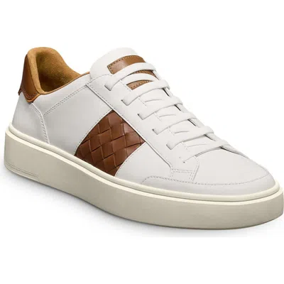 Allen Edmonds Oliver Leather Sneaker In Animal Print