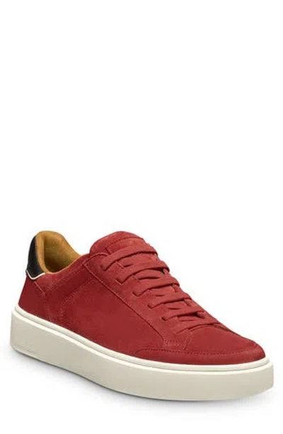 Allen Edmonds Oliver-2 Low Top Sneaker In Red