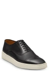 Allen Edmonds Park 2.0 Sneaker In Black