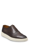Allen Edmonds Park 2.0 Sneaker In Espresso