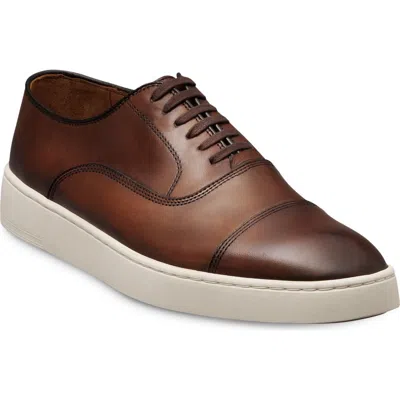 Allen Edmonds Park 2.0 Sneaker In Brown