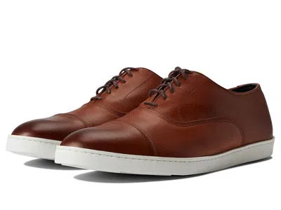 Allen Edmonds Park Sneaker In Brown